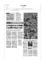 Click here to download <Avvenire - La Calabria ora si ribella e i pentiti minano i clan>