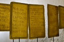 Cuntrascenzia Cuntrascenzia