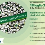 A Stilo GOEL ripianta il doppio degli alberi abbattuti! A Stilo GOEL ripianta il doppio degli alberi abbattuti!