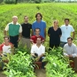 GOEL al fianco della Cooperativa Valle del Marro GOEL al fianco della Cooperativa Valle del Marro